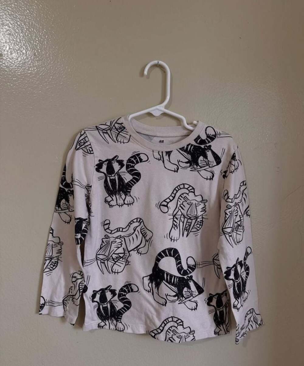 H&M Boys Long Sleeve Saber-Tooth Tiger Graphic T-Shirt Size 5T